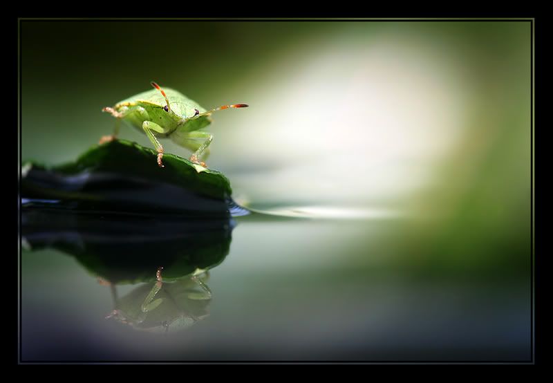 Fotografie