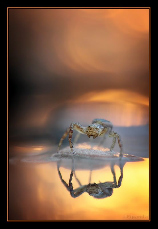 Fotografie