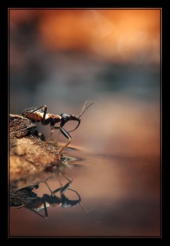 Fotografie