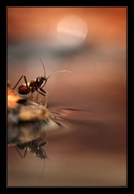 Fotografie