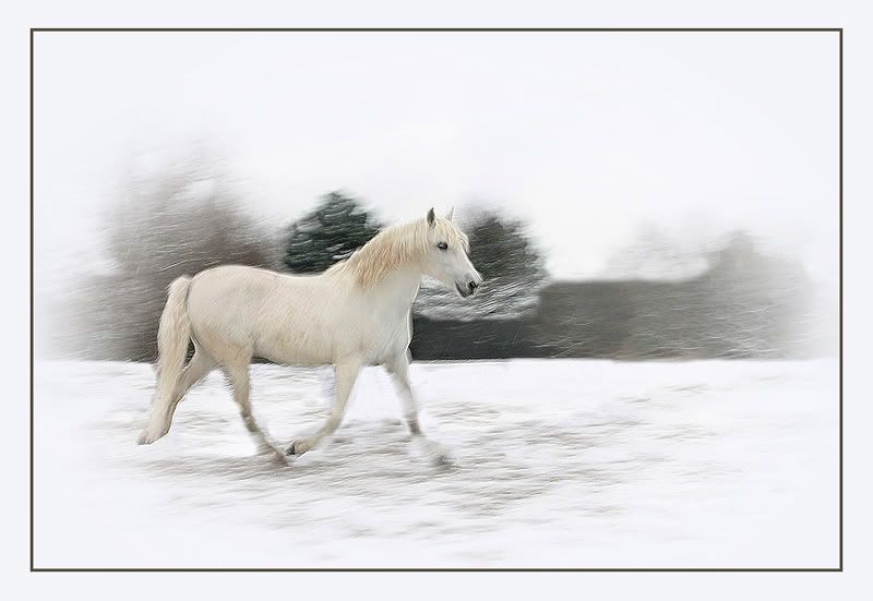Fotografie