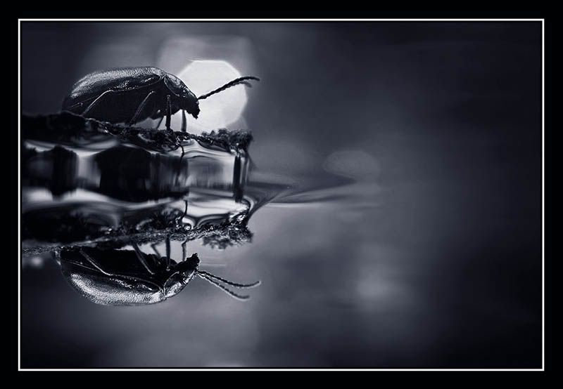 Fotografie