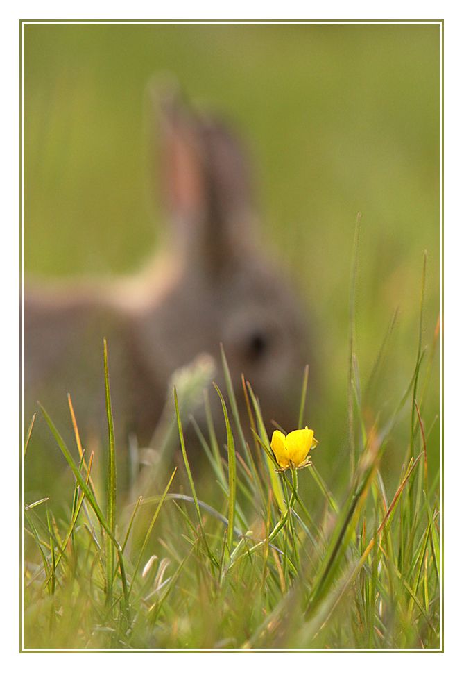 Fotografie