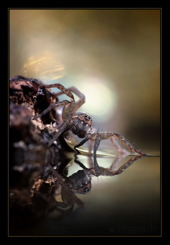 Fotografie