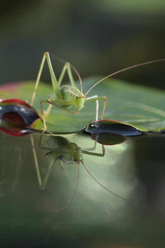 Fotografie