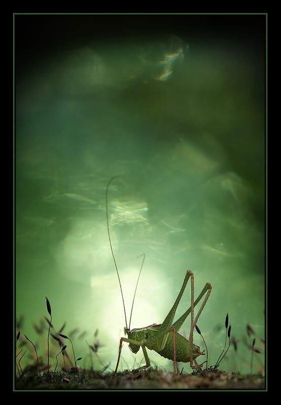 Fotografie
