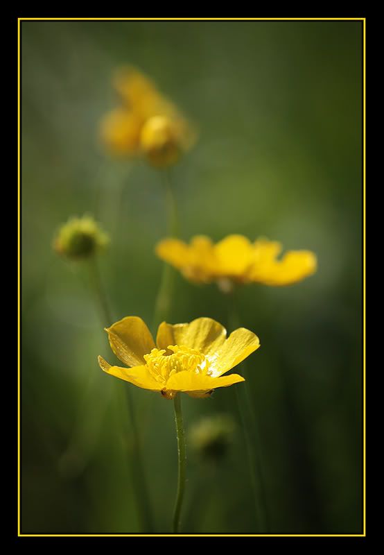 Fotografie
