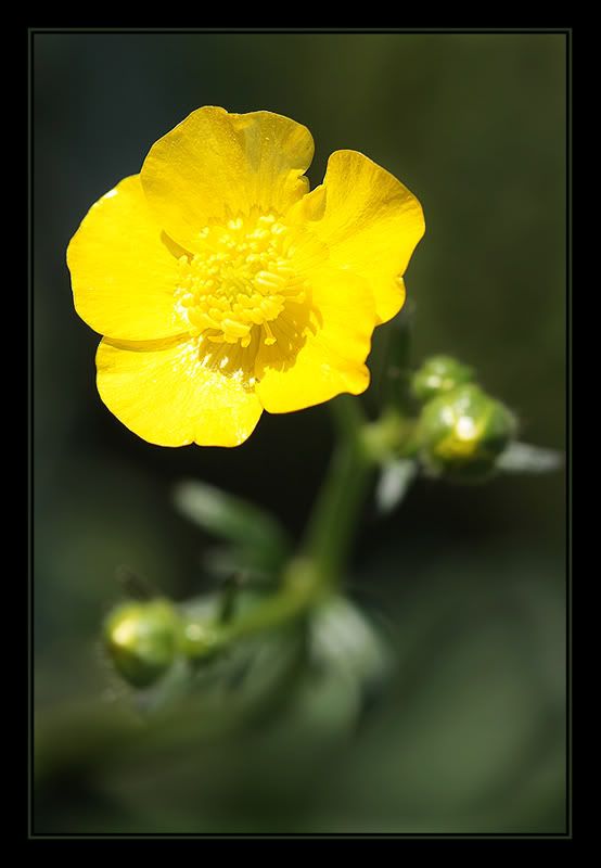 Fotografie