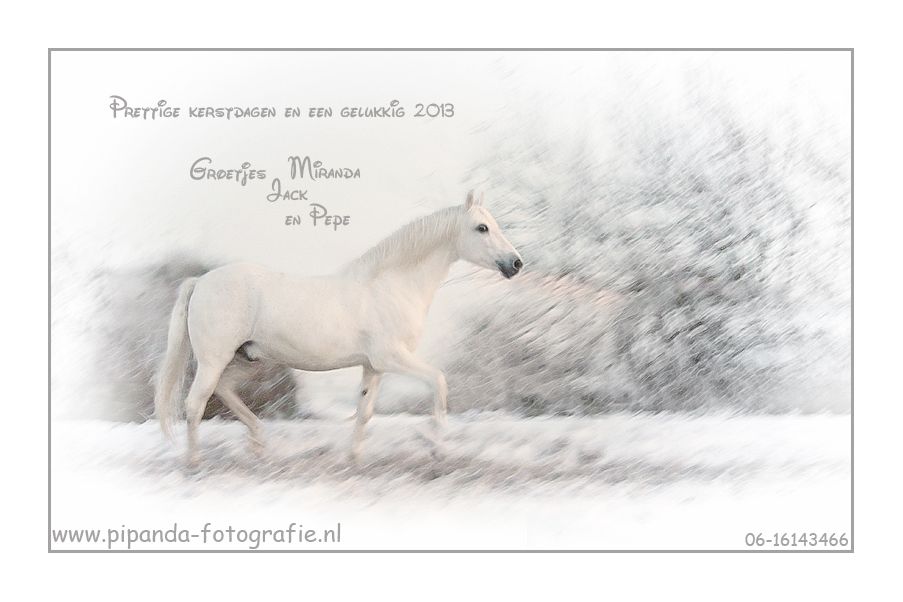 Fotografie