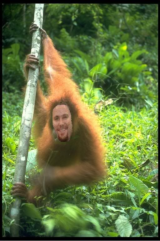 orang.jpg