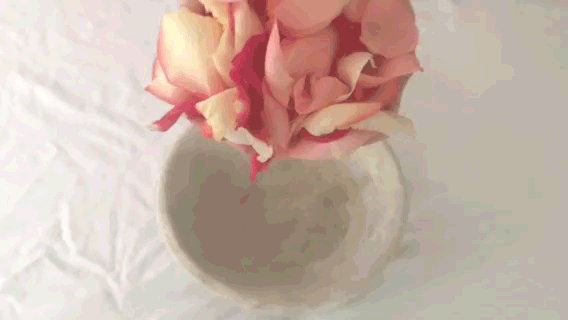 photo rose-petals_zpsrt71yesc.gif