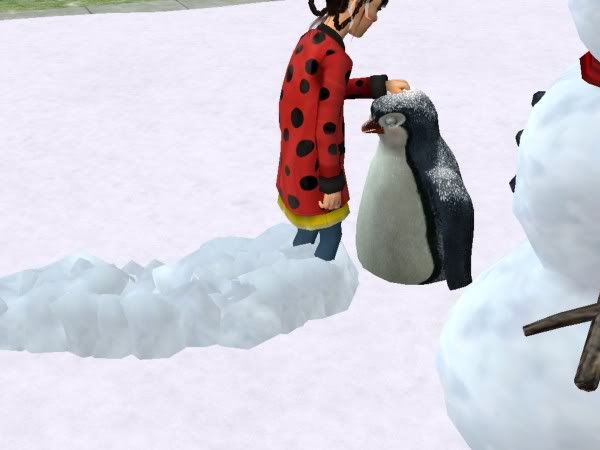 nicebird.jpg