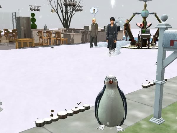 penguin.jpg