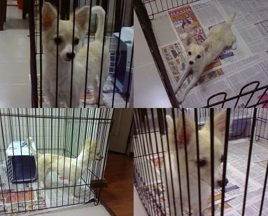 Image hosting by Photobucket