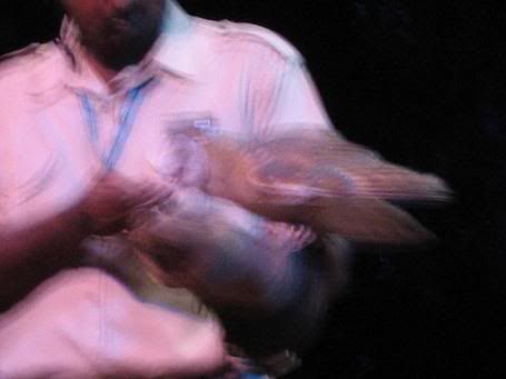 Image hosting by Photobucket