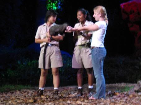 Image hosting by Photobucket