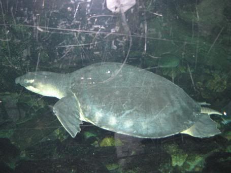 Image hosting by Photobucket