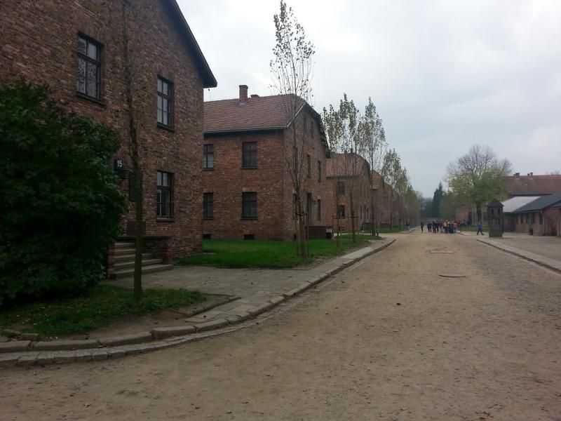 Cracovia 2014 - Blogs de Polonia - Día 2 - Auschwitz (3)