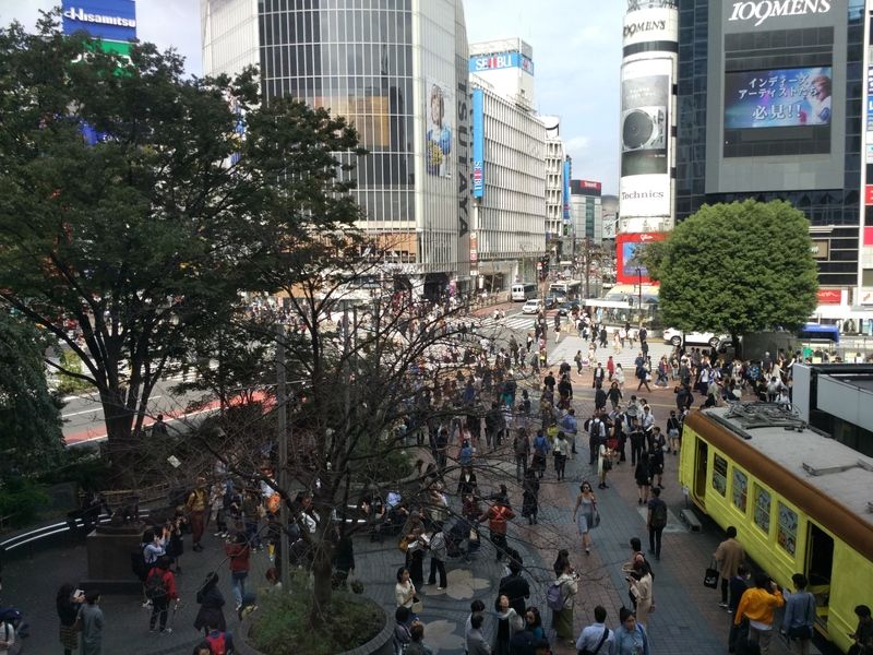 Dos semanas maravillosas en Japón - Blogs of Japan - Tokio, primer día completo (17)