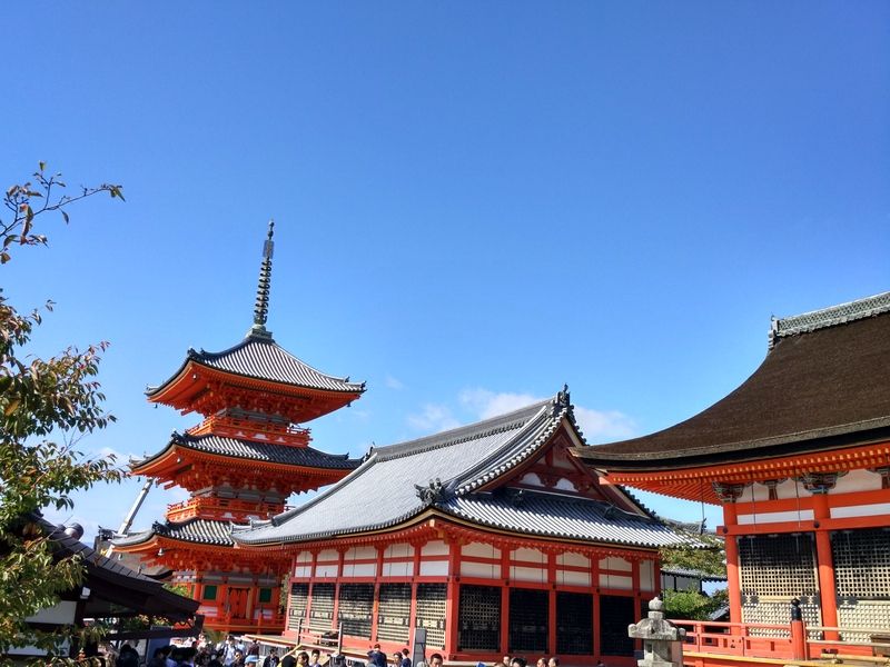 Dos semanas maravillosas en Japón - Blogs de Japon - Primer día en Kioto (6)