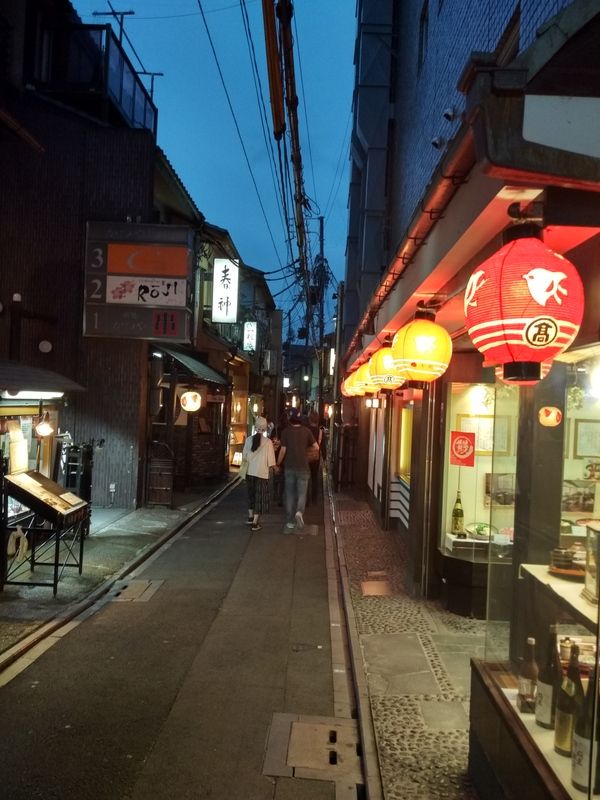 Dos semanas maravillosas en Japón - Blogs de Japon - Primer día en Kioto (10)
