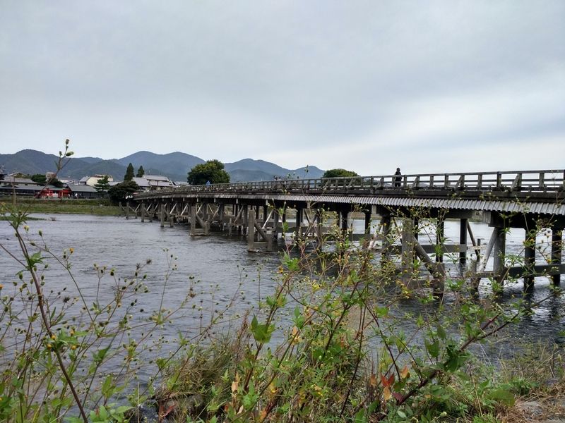 Dos semanas maravillosas en Japón - Blogs de Japon - Arashiyama - Kioto (2)