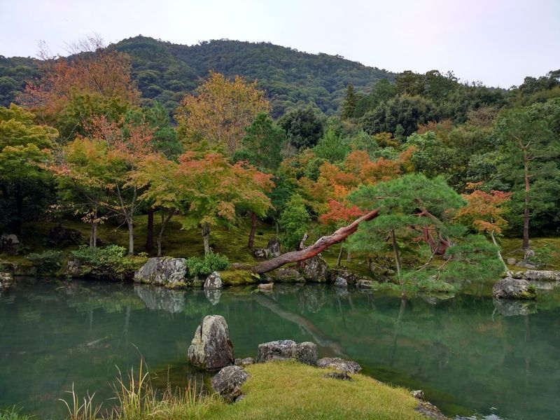 Dos semanas maravillosas en Japón - Blogs de Japon - Arashiyama - Kioto (4)