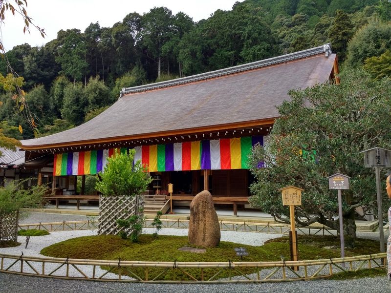 Dos semanas maravillosas en Japón - Blogs de Japon - Arashiyama - Kioto (10)