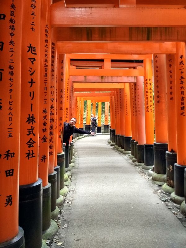 Dos semanas maravillosas en Japón - Blogs de Japon - Fushimi Inari y Nara (3)