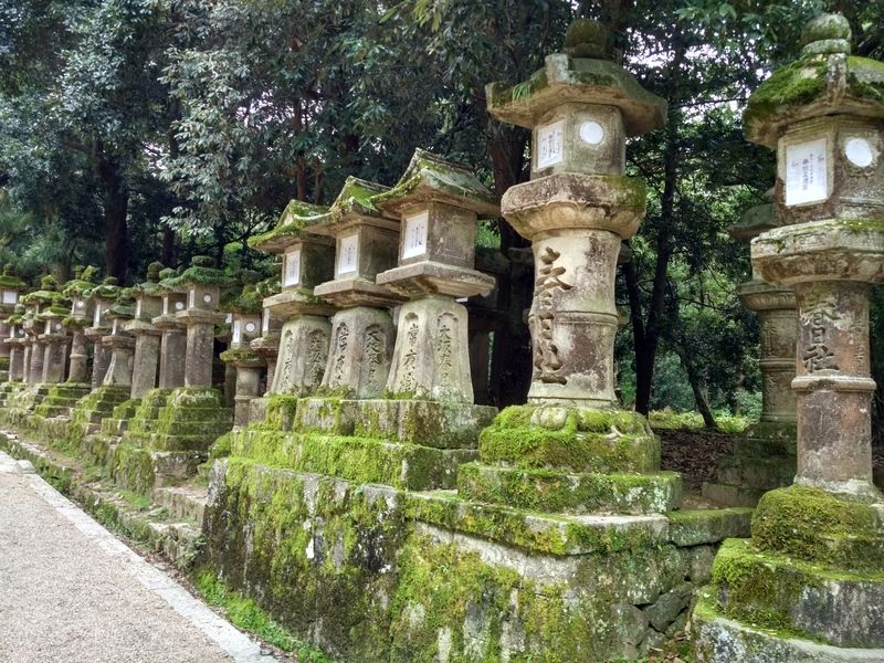 Dos semanas maravillosas en Japón - Blogs de Japon - Fushimi Inari y Nara (24)