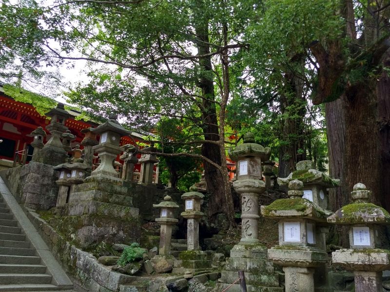 Dos semanas maravillosas en Japón - Blogs de Japon - Fushimi Inari y Nara (23)
