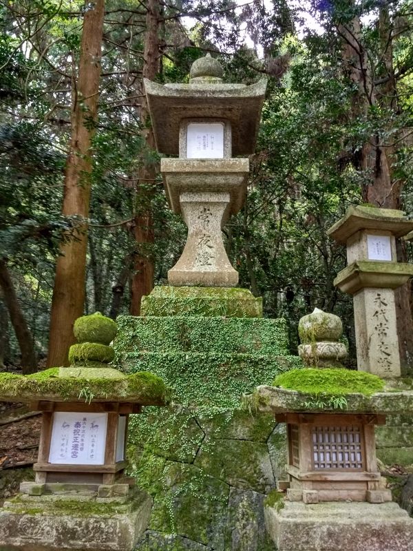 Dos semanas maravillosas en Japón - Blogs de Japon - Fushimi Inari y Nara (22)