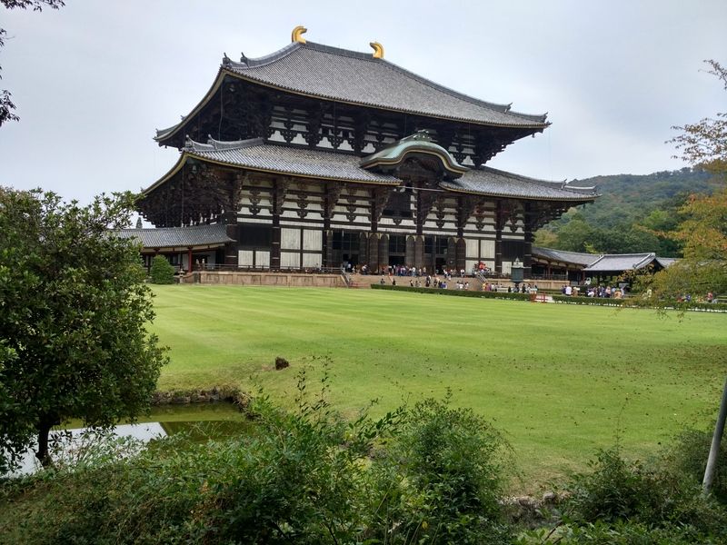 Fushimi Inari y Nara - Dos semanas maravillosas en Japón (19)