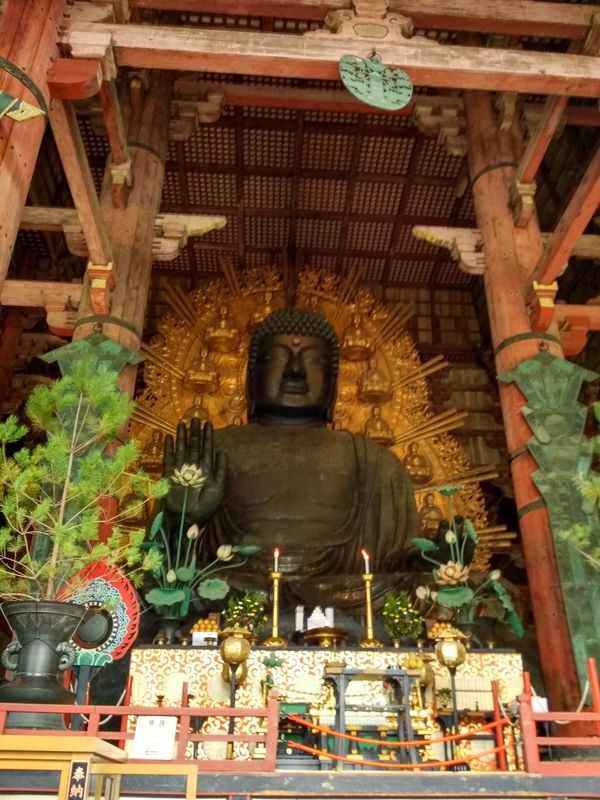 Dos semanas maravillosas en Japón - Blogs de Japon - Fushimi Inari y Nara (21)