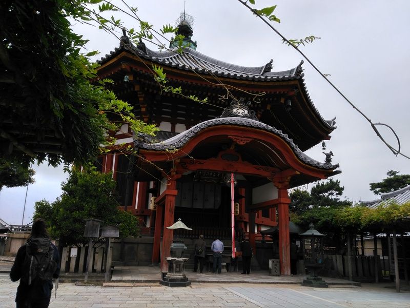 Dos semanas maravillosas en Japón - Blogs de Japon - Fushimi Inari y Nara (26)