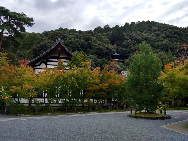 Dos semanas maravillosas en Japón - Blogs de Japon - Último día en Kioto (2)