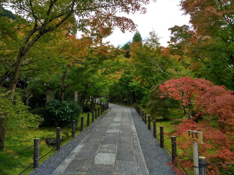 Dos semanas maravillosas en Japón - Blogs de Japon - Último día en Kioto (3)