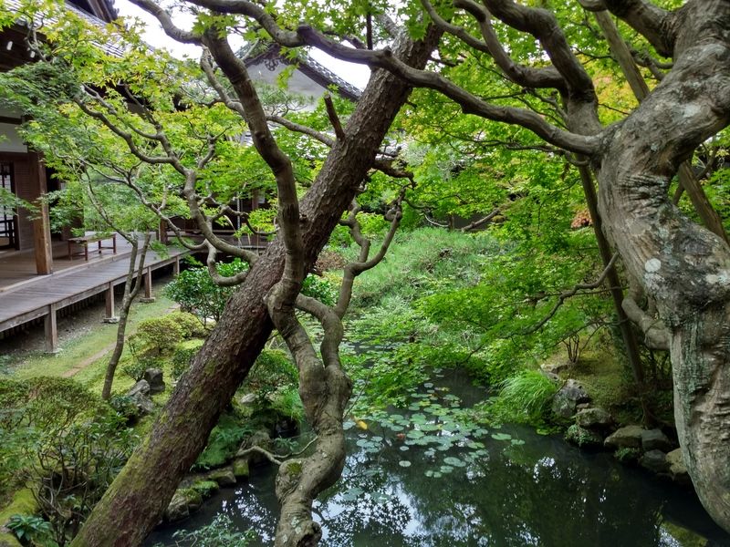 Último día en Kioto - Dos semanas maravillosas en Japón (4)