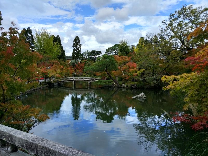 Dos semanas maravillosas en Japón - Blogs de Japon - Último día en Kioto (10)