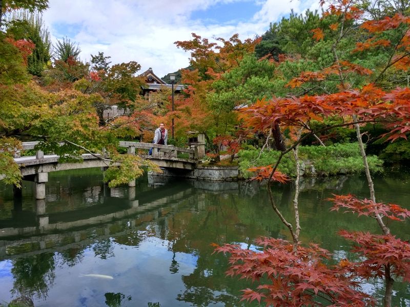 Último día en Kioto - Dos semanas maravillosas en Japón (11)