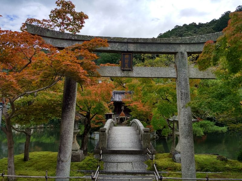 Dos semanas maravillosas en Japón - Blogs de Japon - Último día en Kioto (12)