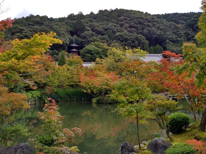 Dos semanas maravillosas en Japón - Blogs de Japon - Último día en Kioto (13)