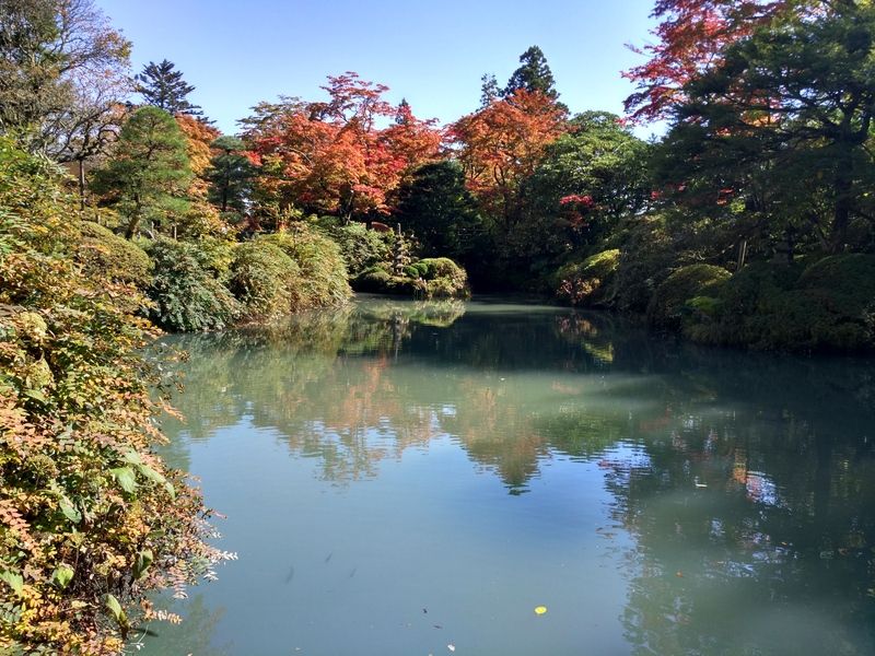 Dos semanas maravillosas en Japón - Blogs de Japon - Nikko y Tokio (7)