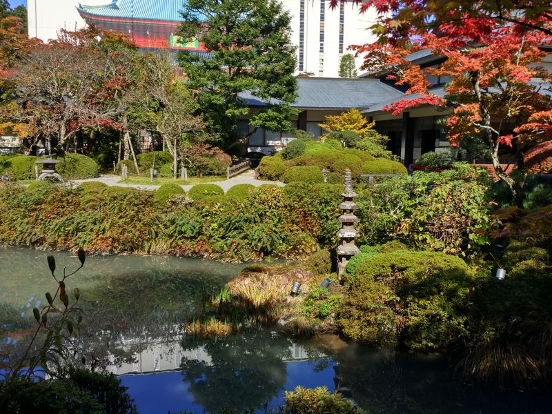 Dos semanas maravillosas en Japón - Blogs de Japon - Nikko y Tokio (8)