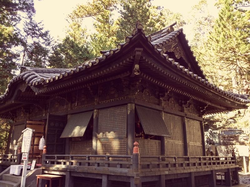 Dos semanas maravillosas en Japón - Blogs de Japon - Nikko y Tokio (13)