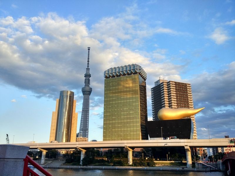 Dos semanas maravillosas en Japón - Blogs de Japon - Tokio (25)
