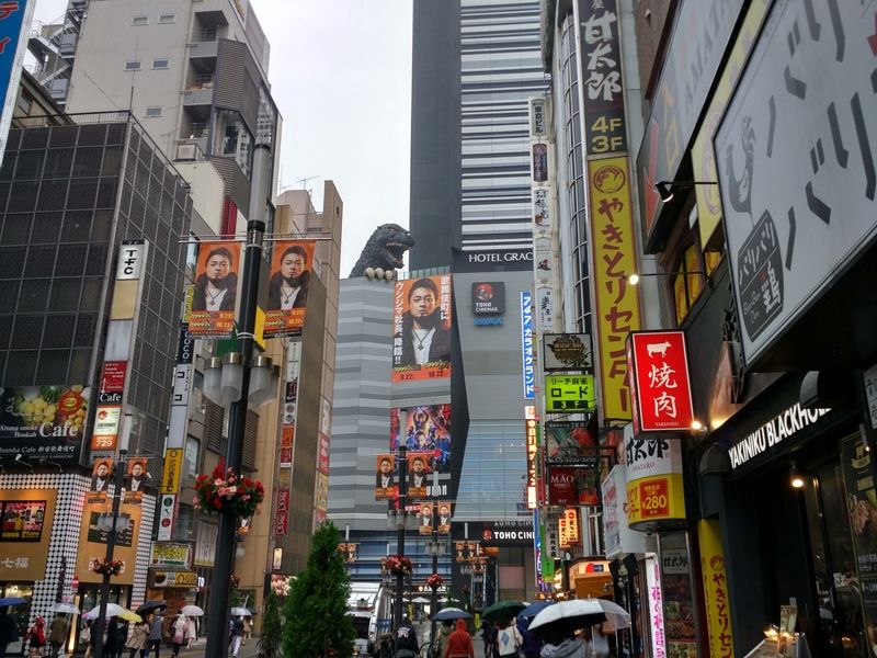 Dos semanas maravillosas en Japón - Blogs de Japon - Último dia en Tokio (5)