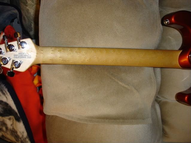 DSC06293.jpg