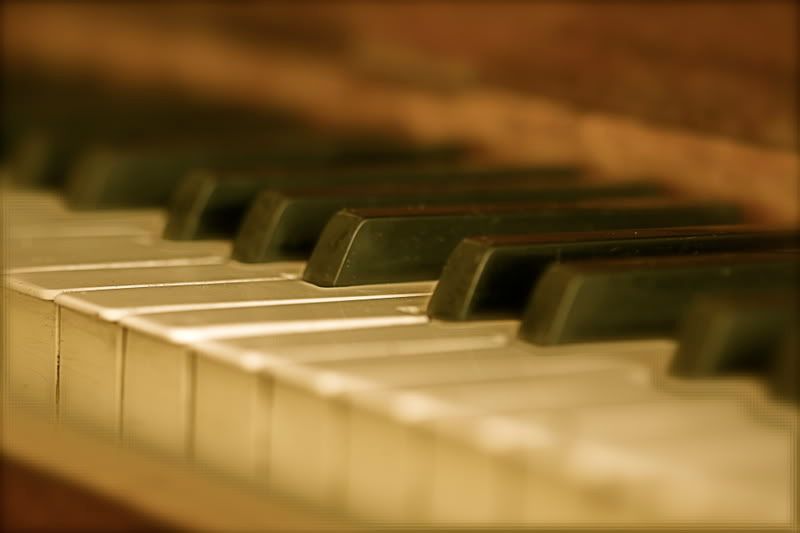 IMAGE: http://i48.photobucket.com/albums/f245/staceyshipp/IMG_4826.jpg