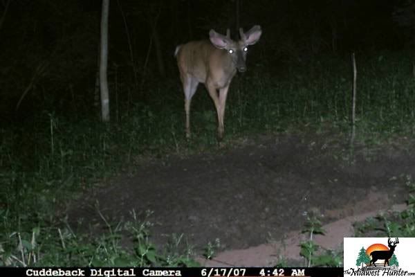 CDY_617b.jpg